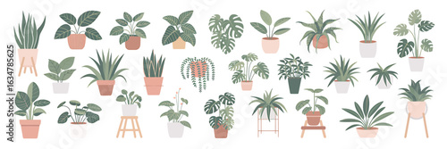 Charming hand drawn houseplant collection for interior design