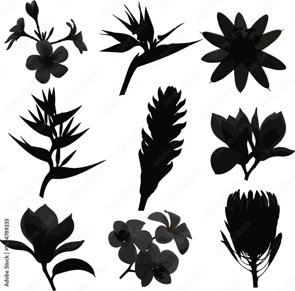 Fototapeta premium Assortment of Tropical and Exotic Flower Silhouettes in Black and Gray Tones vector
