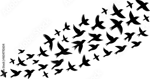 A dynamic graphic illustration depicting a flock of black bird silhouettes in flight, moving upwards and to the right.