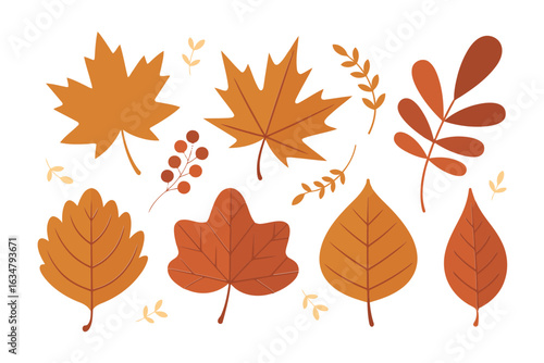 Autumn leaves and berries in warm seasonal colors fall