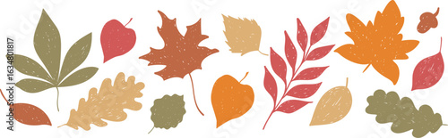 Hand drawn autumn leaves collection with pencil texture, set of leaves silhouettes