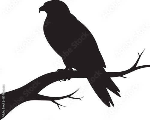 Silhouette of a crow perched on a branch in a wild and free nature scene