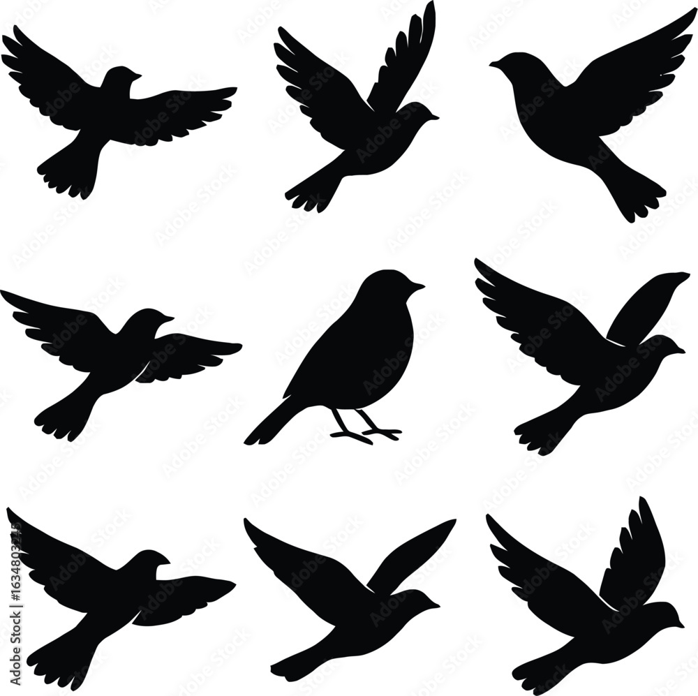 Obraz premium Set of Nine Black Bird Silhouettes in Varied Flying Positions with One Central Perched Bird — Minimalist Depiction of Avian Motion and Posture for Artistic, Educational, and Design 