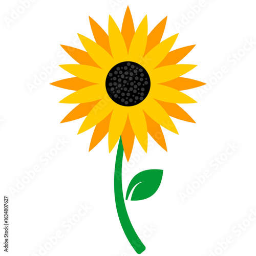 Flat Vector Sunflower with Green Stem and Leaf on Transparent Background