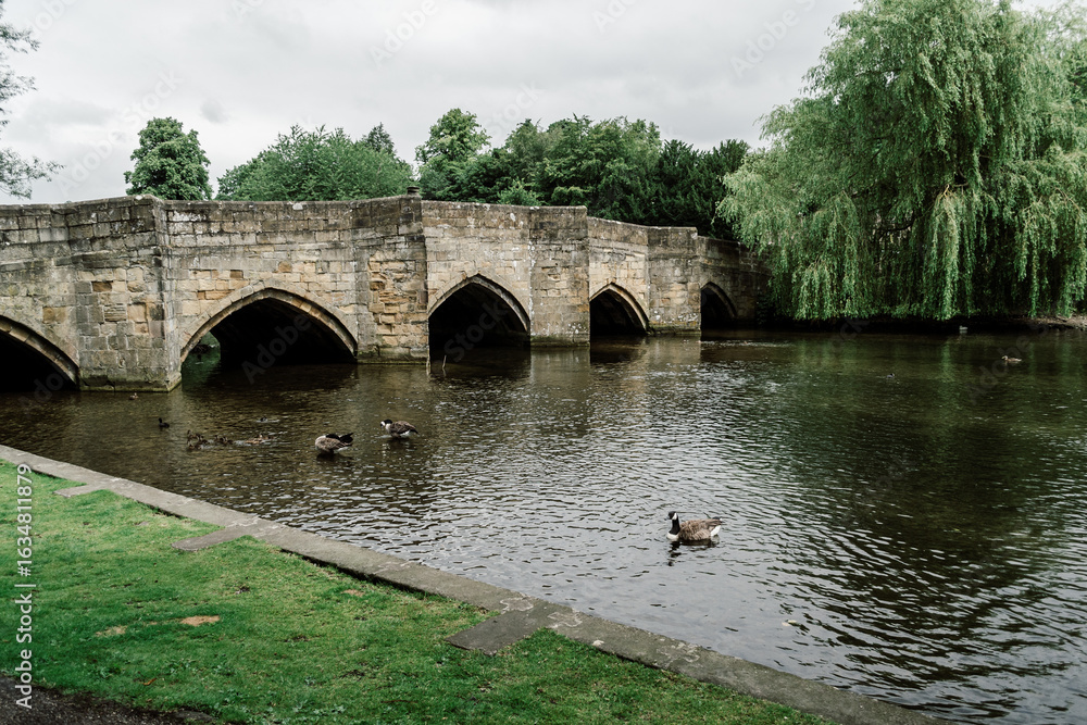Fototapeta premium bridge over the river