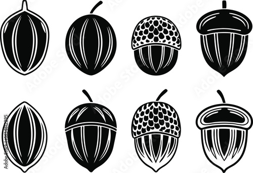 Collection of hand drawn acorn and seed illustrations in black and white