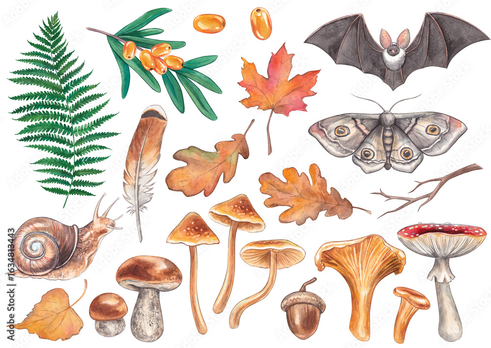 Fotografie Set autumn forest