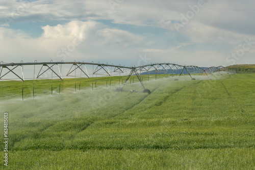 Irrigation system watering hay fields in Idaho 