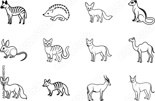 Desert Dwellers Animals Line Art Collection with fennec fox, camel, meerkat, sand cat, jerboa, oryx