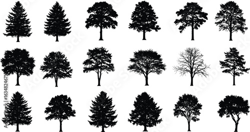 Tree silhouette collection vector, isolated black trees, deciduous and coniferous illustration set, nature landscape design elements, clipart pack