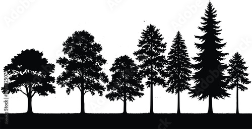Silhouette of trees on ground, black forest clipart, nature landscape vector, conifer and deciduous tree illustration set