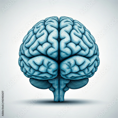 Anatomical illustration showcasing the intricate details of the human mind with a light tone color scheme