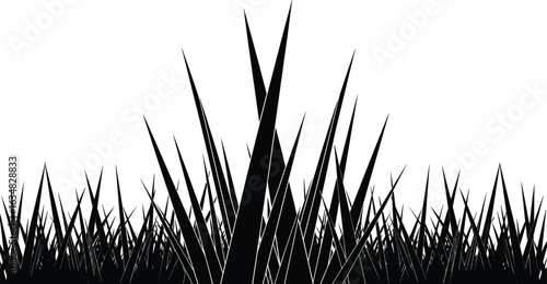 Black silhouette sharp grass vector, spiky blades pattern, abstract wild nature background, seamless grass border for outdoor design projects