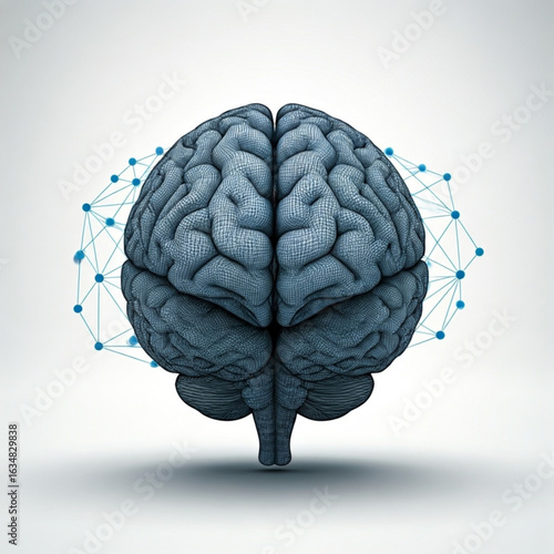 Anatomical brain model with neural network connections surrounding the cerebrum and brainstem view from front