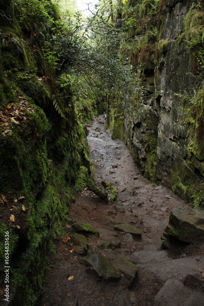 Obraz premium Path through cliffs