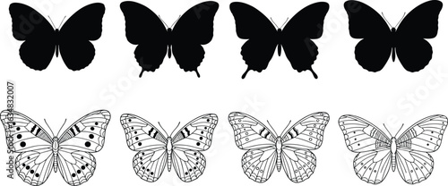 Butterfly silhouette and outline set, insect vector illustration, black and white wing design, entomology art, detailed symmetrical butterfly drawing