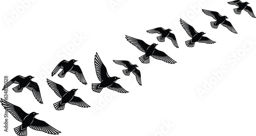 Flying birds silhouette illustration, flock in motion, freedom concept, migrating birds, black and white art for nature-themed designs