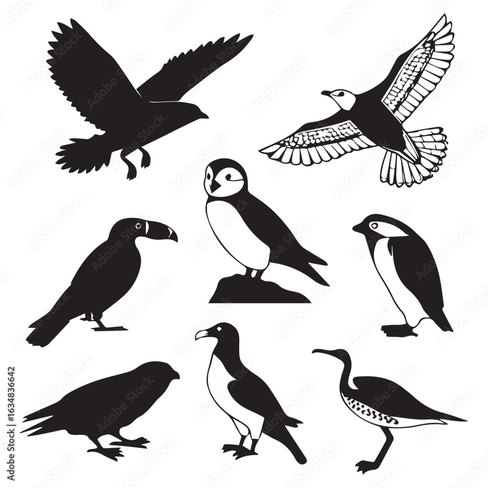 Naklejka premium Collection of silhouettes of various bird species including flying birds and standing birds