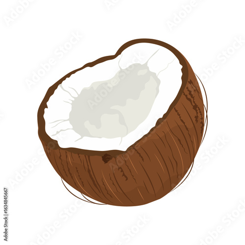 Half of ripe sweet coconut isolated on white background. Fruit collection