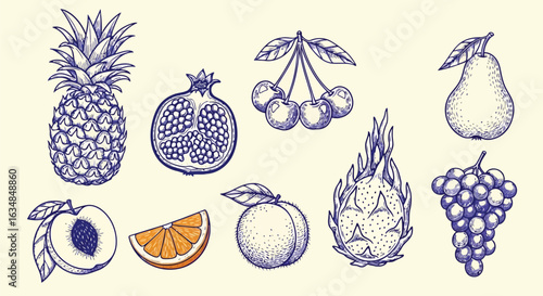 Adobe Illustrator Artwork