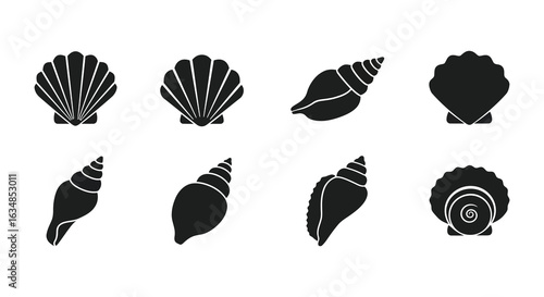 modern detailed professional high quality Black and White Silhouette Style Seashells