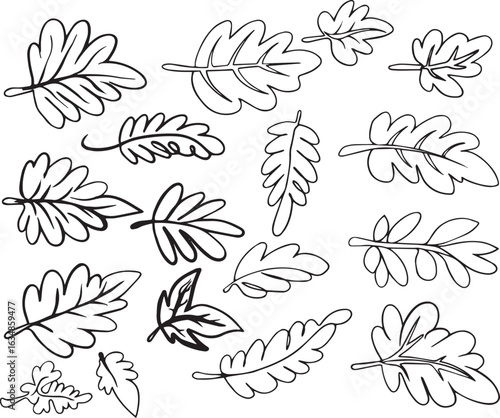  Botanical line art, floral illustration,minimalist plant,Simple leaf icons,organic shapes,Abstract botanical doodles,plant outline collection,branch illustrations,elegant floral graphics,monochrome.