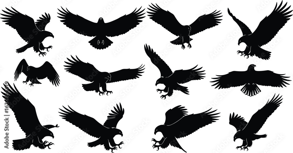 Obraz premium Eagle silhouette, flying eagle vector, predatory bird clipart, bird of prey artwork, cad drawing flat vector illustration, editable hawk shape