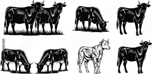 Cow silhouette vector, grazing cattle illustration, farm animal artwork, bull graphic design, black and white cow drawing, livestock clipart
