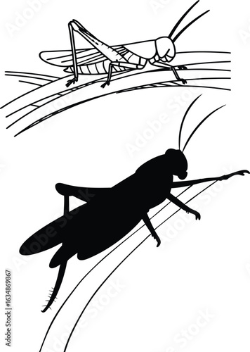 grasshopper vector silhouette icon