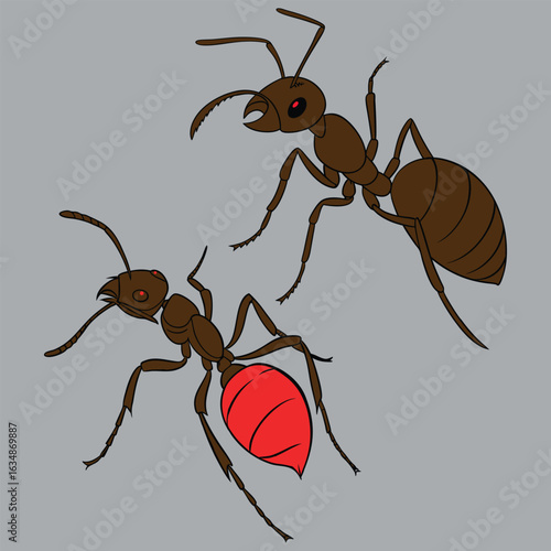 Flat vector illustration in children's style. Cute ant
