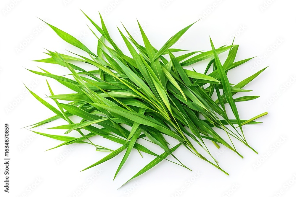 Fototapeta premium A detailed close-up of cut wild grass, highlighting individual blades and their vibrant green hues, isolated on a clean white background, top view