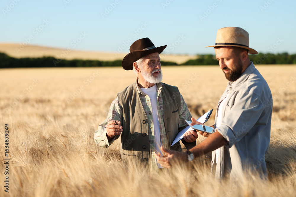 Farmers in field with ripe wheat outdoors, space for text Farmers in field with ripe wheat outdoors, space for text