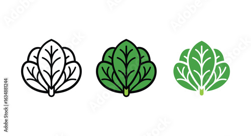 Spinach icon set. Vector illustration of leafy green vegetable in line, flat, and glyph styles.