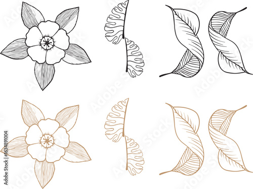 Floral Line Art Arrangement, Delicate Flower Outline Design, Botanical Black White and gold  Illustration, Simple Floral Drawing Collection