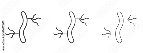 Human artery icon in line art doodle style. Editable stroke outline sign, eps 10