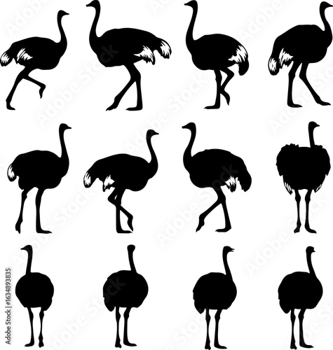 Ostrich Silhouettes in Various Standing and Walking Poses