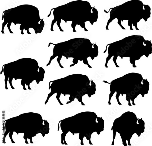 Bison Silhouettes in Various Poses