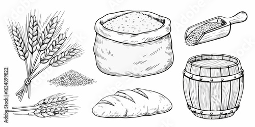 Hand drawn illustration of wheat grains flour bread and a barrel