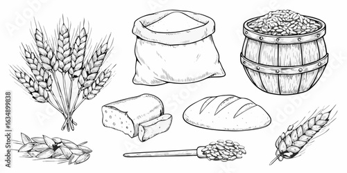 Hand drawn wheat and bread ingredients collection