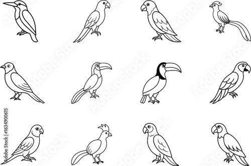 Tropical Colorful Birds Line Art Collection with scarlet macaw, toucan, macaw, quetzal, roller, hornbill