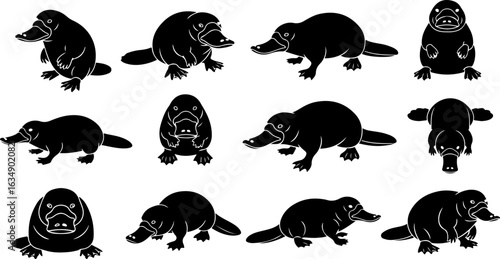 Platypus Silhouettes in Various Poses