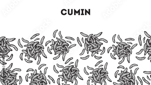 Cumin seeds sketch. Horizontal seamless pattern. Hand drawn vector illustration. Handful of spice. Kitchen spice