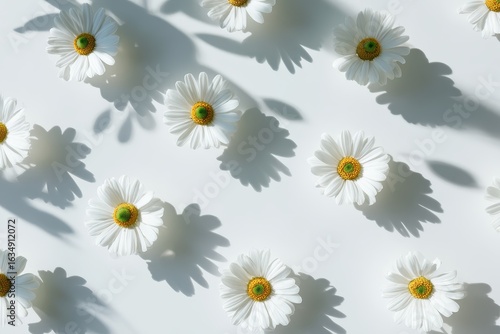 Delicate chamomile flower pattern showcasing a soft aesthetic against a light background with natural shadows highlighting the floral arrangement