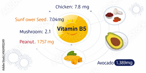 Vitamin b5 content in various foods