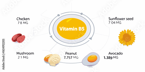 Vitamin b5 sources and content in foods
