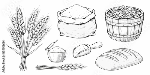 Hand drawn illustration of wheat harvest products and bakery ingredients