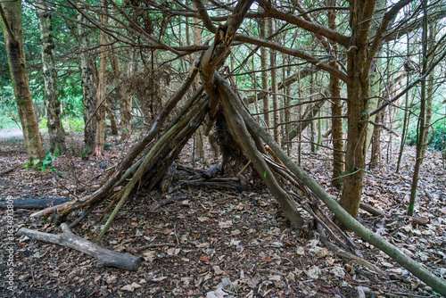Simple, primitive hut made from branches in remote forest.