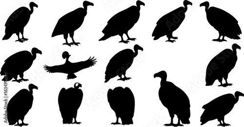 Vulture Silhouette Collection: Majestic and Dynamic Poses