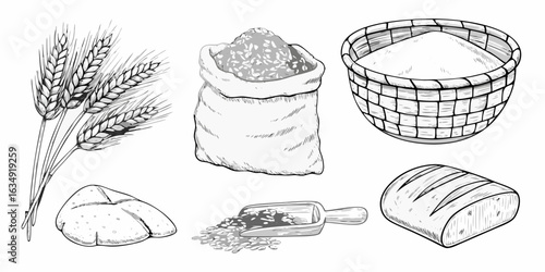 Hand drawn illustration of wheat flour and bread making ingredients