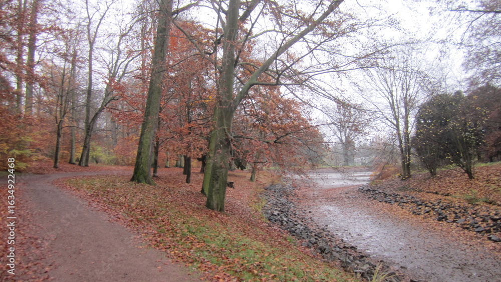 Naklejka premium road in autumn